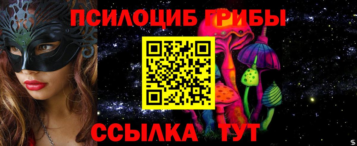 Псилоцибиновые грибы Psilocybe Павловский Посад