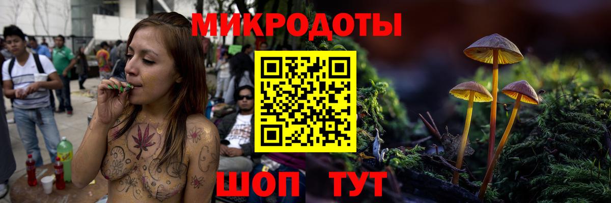 хочу   Галлюциногенные грибы прущие грибы  Вход с VPN  Павловский Посад  Галлюциногенные грибы Psilocybe 